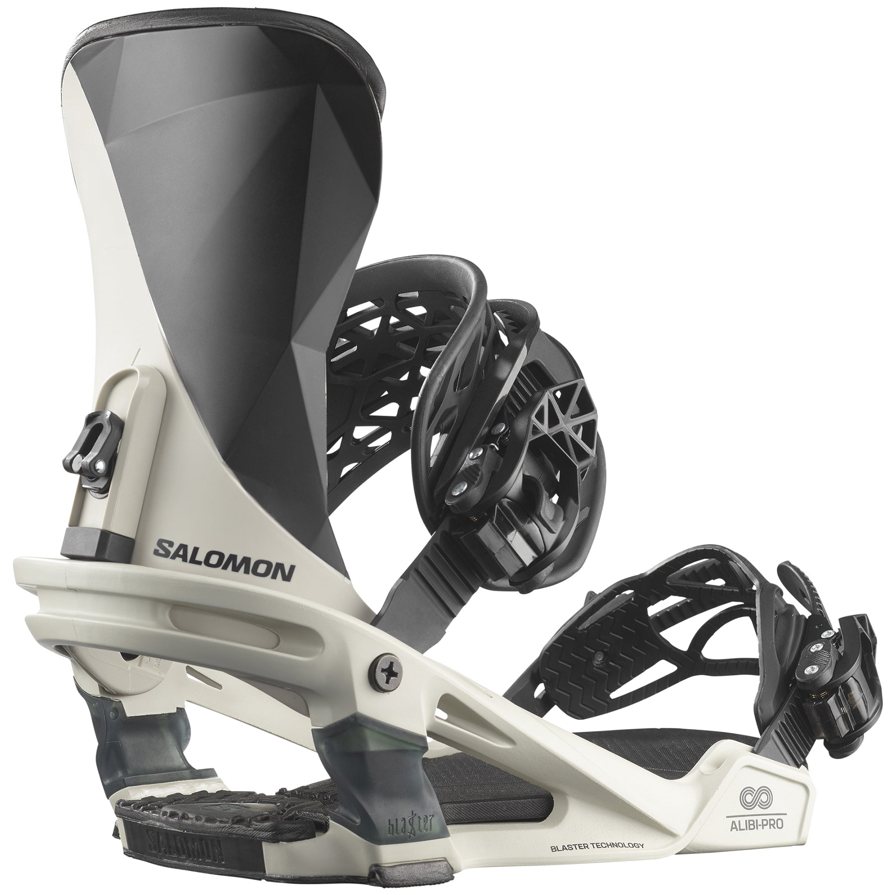 Salomon alibi pro on sale