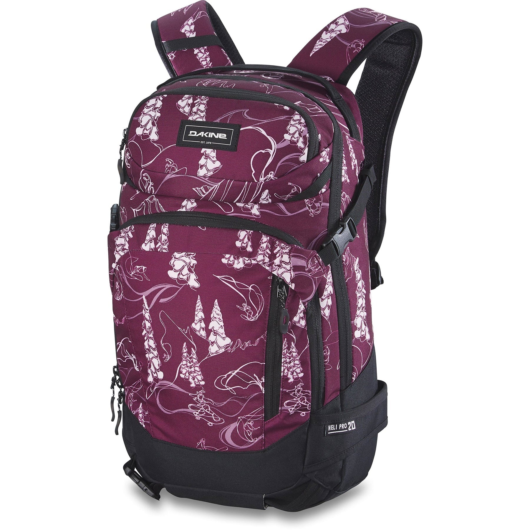 Dakine heli pro 20l ski carry best sale